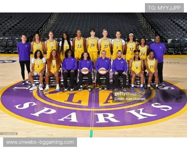 赞助商看好WNBA在13至24岁球迷群体中的影响力 赞助商看好WNBA在13至24岁球迷群体中的影响力